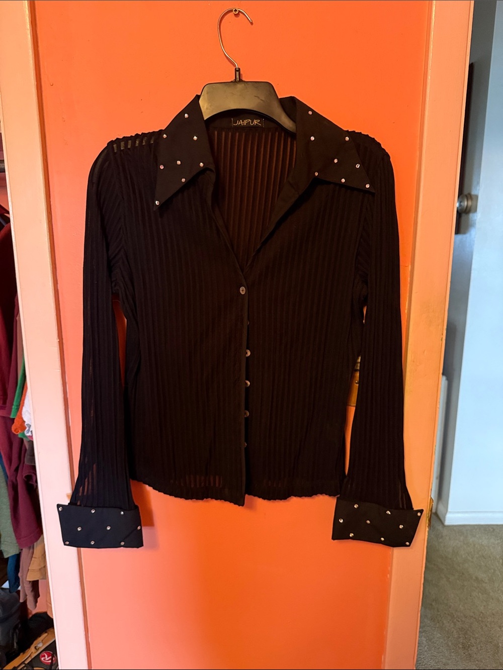 Jaipur Black Sheer Pleated Blouse